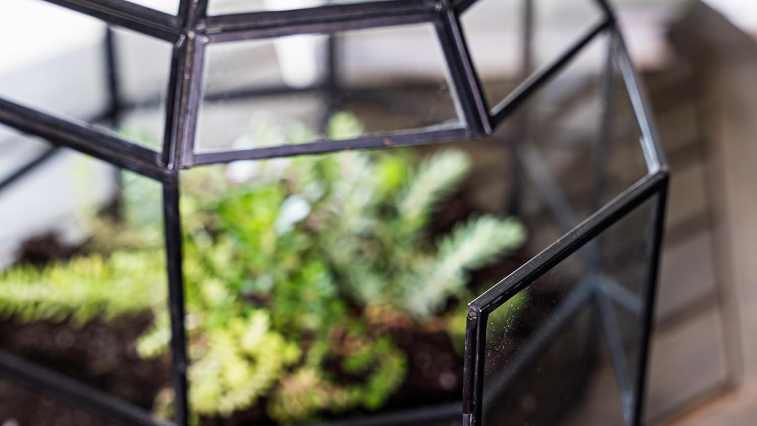 Handmade Birdcage Large Glass Terrarium — 10" x 9" x 9" (Black)
