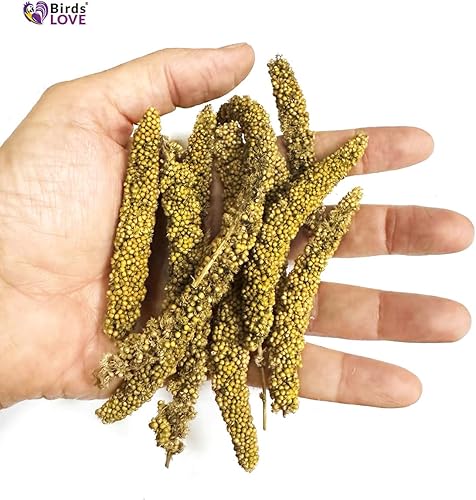Miniatura 10 de Birds LOVE Economy & Thin Special Spray Mijo sin OMG (sin tallos solo tapas comestibles) para pájaros, cacatúa, tortolito, pinzón, canario, todos