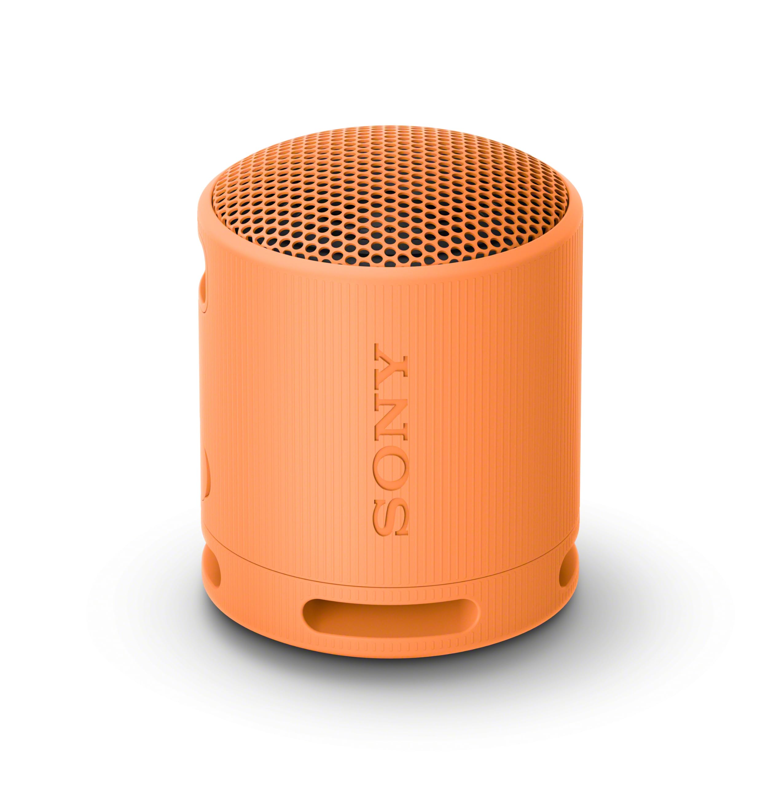 Sony SRS-XB100 Bluetooth Speaker