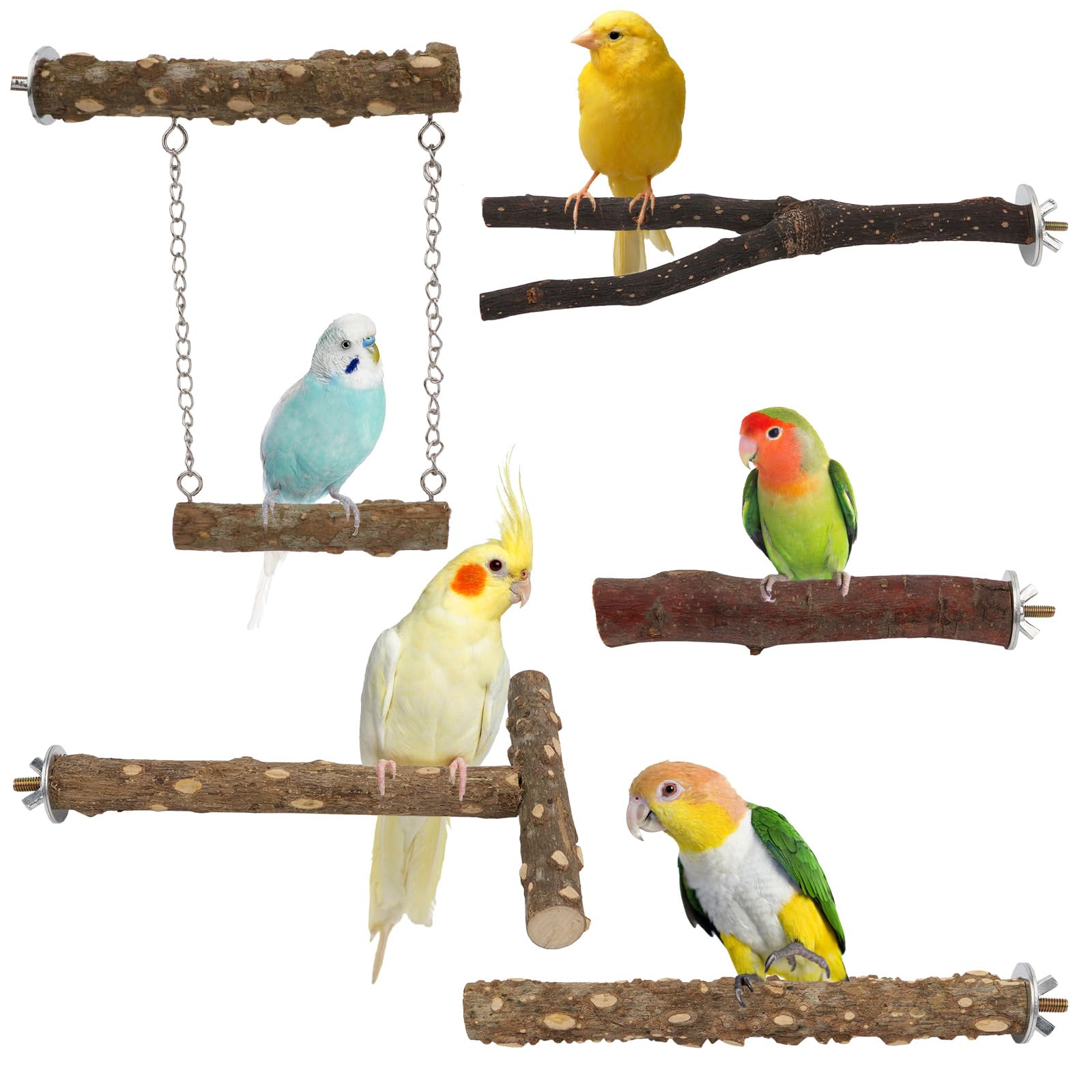 Hypeety Natural Wood Bird Perch for Parakeets 5PCS Perches for Cage Parrot Hanging Swing Bird Fork Perches Easy Install Chew Toys for Small Birds Cockatiels Conures Budgies Lovebirds Parakeets