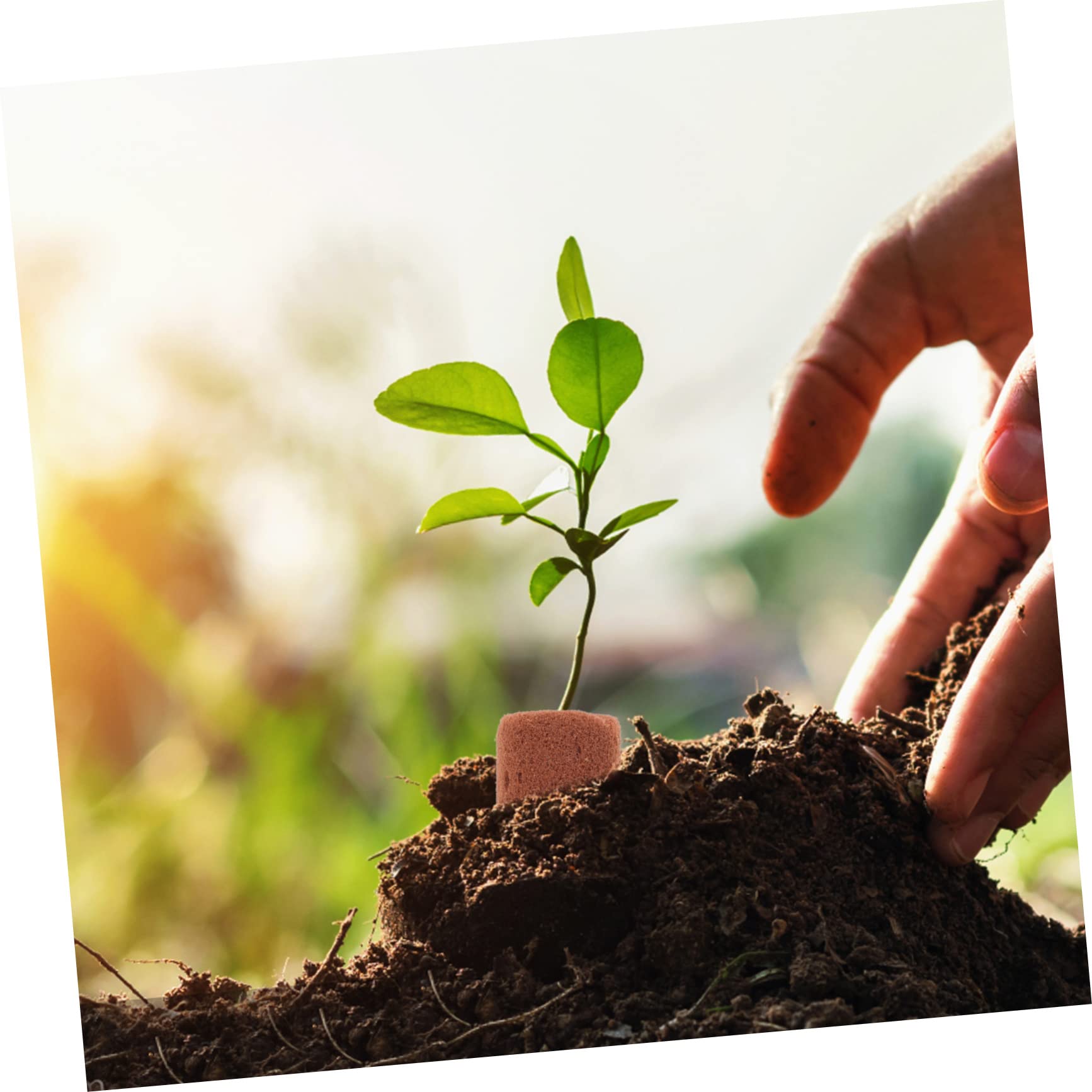 BESPORTBLE 500piezas Bloques Nutrientes para Cultivo Sin Suelo Sustrato De Peat para Plantas y Plántulas para Jardinería Balcón y Huertos Urbanos
