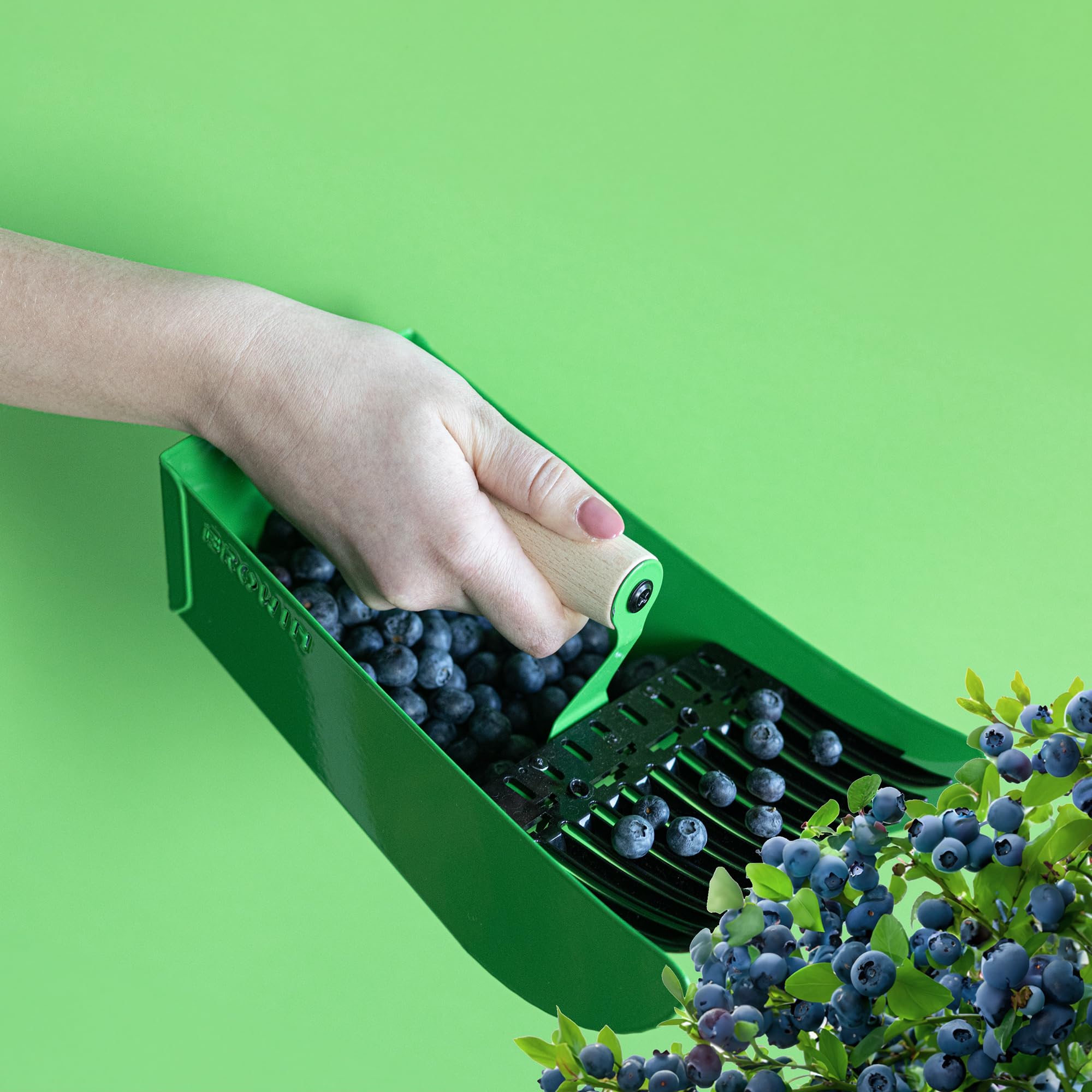 BROWIN® Beerenpflücker für kleine Früchte 705011 | Blaubeerpflücker zum Pflücken von Himbeeren, Brombeeren, Heidelbeeren und Johannisbeeren | grün aus Metall