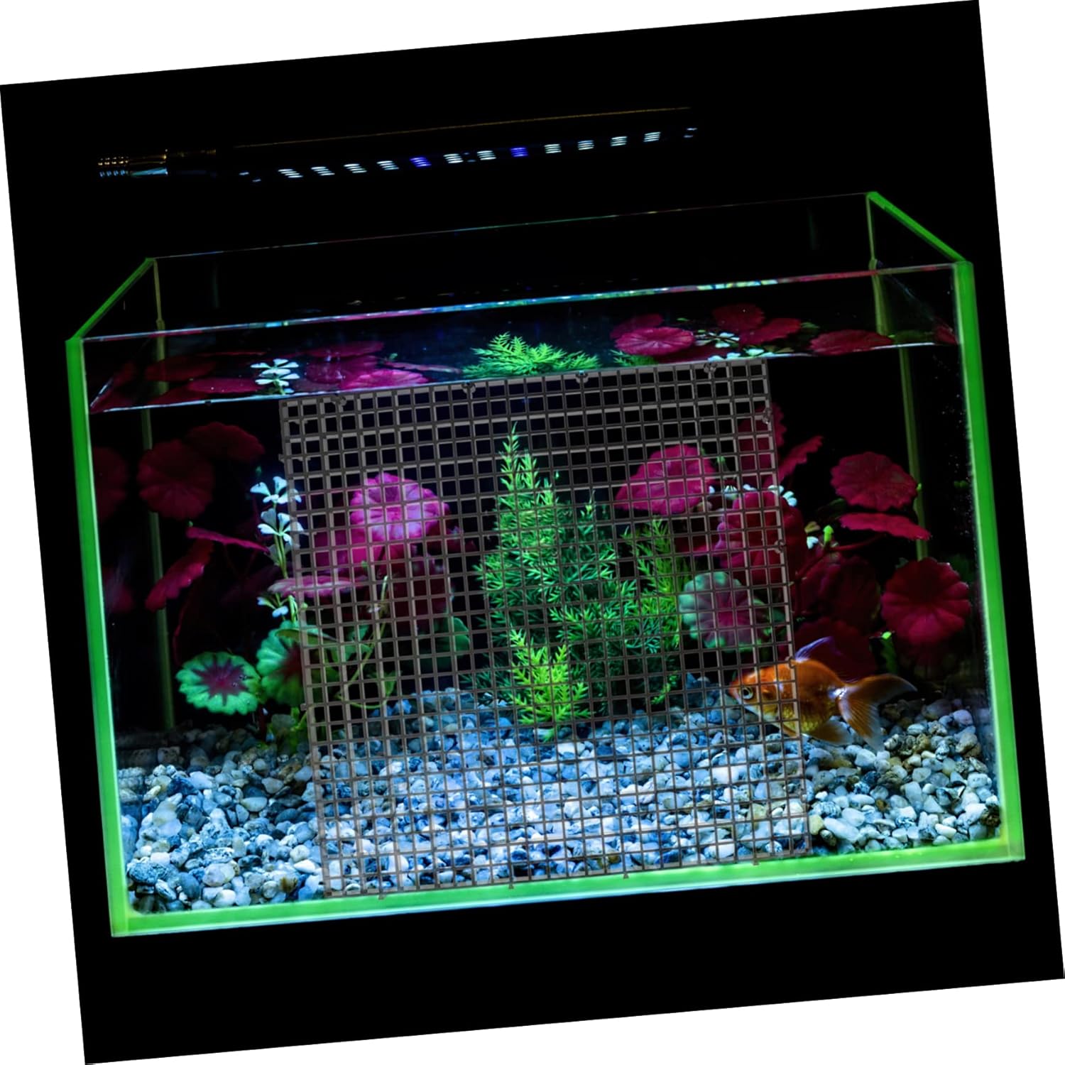 1set Fish Tank Divider Plates Isolation Net Cups for Breeding Panels and Aquarium Partition