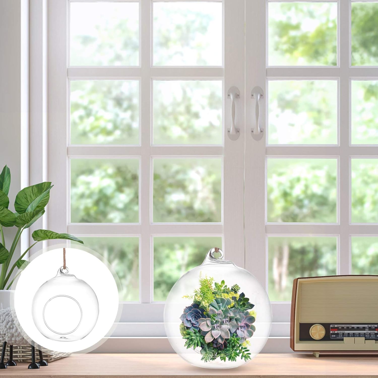 6pcs Hydroponic Glass Vase Single Terrarium Plants Globe Adjustable Plant Stand Hanging Planter Railing Artificial Hanging Plant Animal Plant Holder Garden Decor Trellis Rope