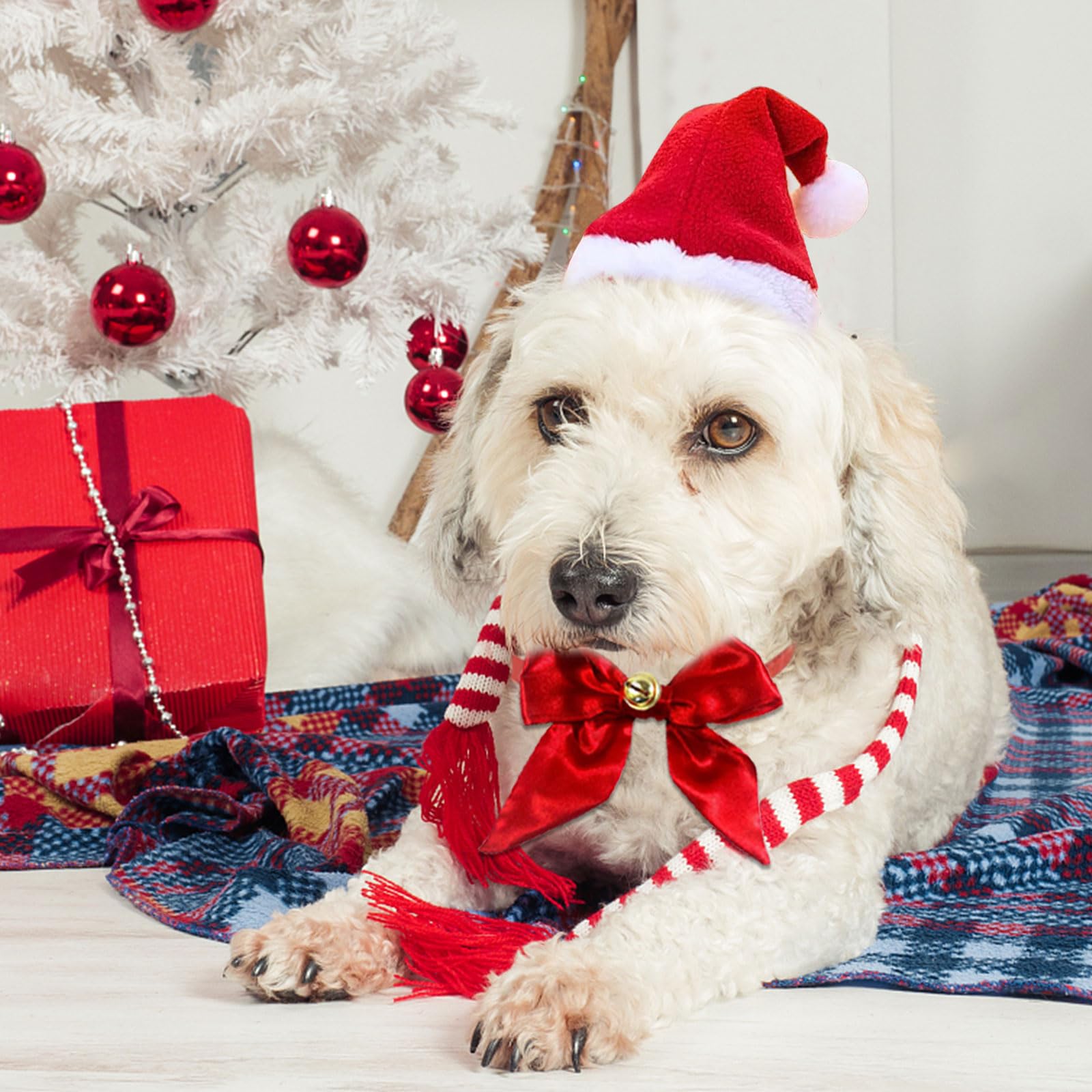 Costume Di Natale Per Cani E Gatti - Cappello E Papillon, Regolabile, Per Feste E Foto
