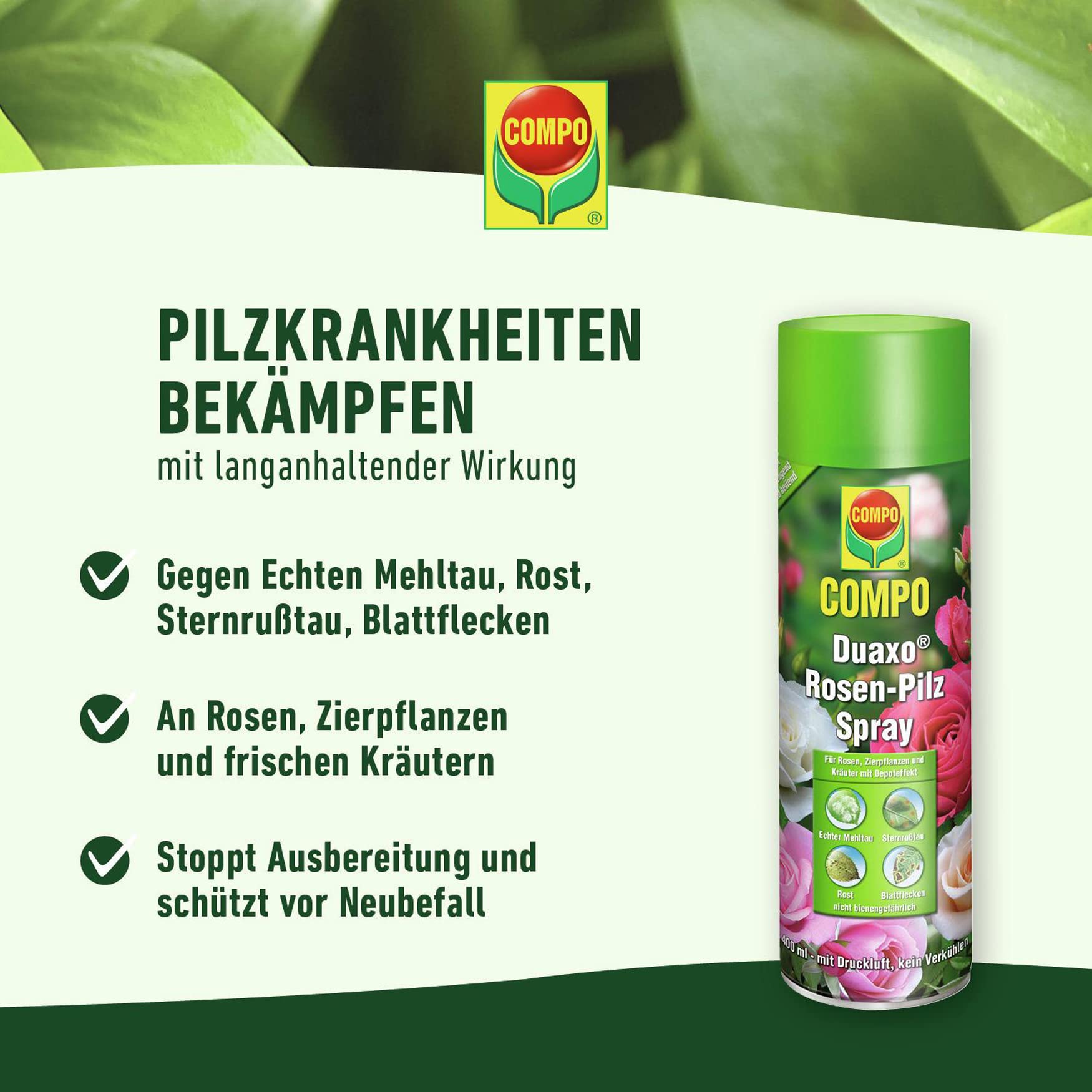 Compo Duaxo Rosen-Pilz Spray, Bekmpfung von Pilzkrankheiten an Rosen,  Zierpflanzen und Krutern, Anwendungsfertig, 400 ml : Amazon.de: Garten