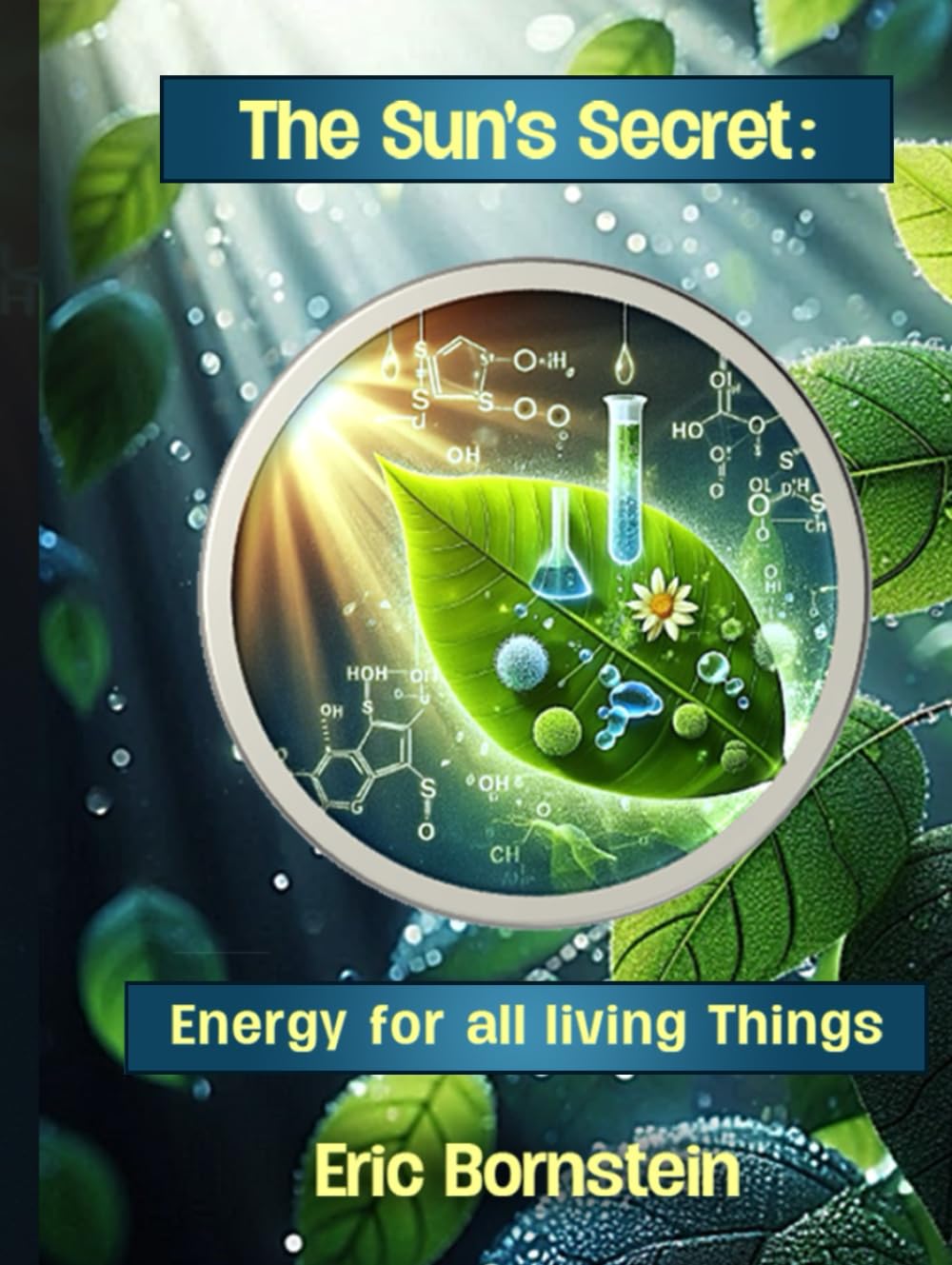 The Sun's Secret: Energy for All Living Things