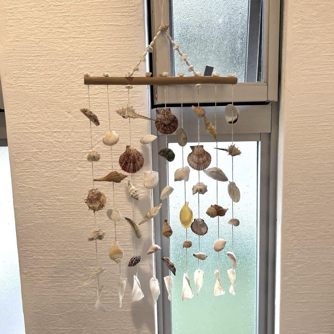 貝殻オーナメント 2点セット ご予約品 貝殻オーナメント 2点セット ご