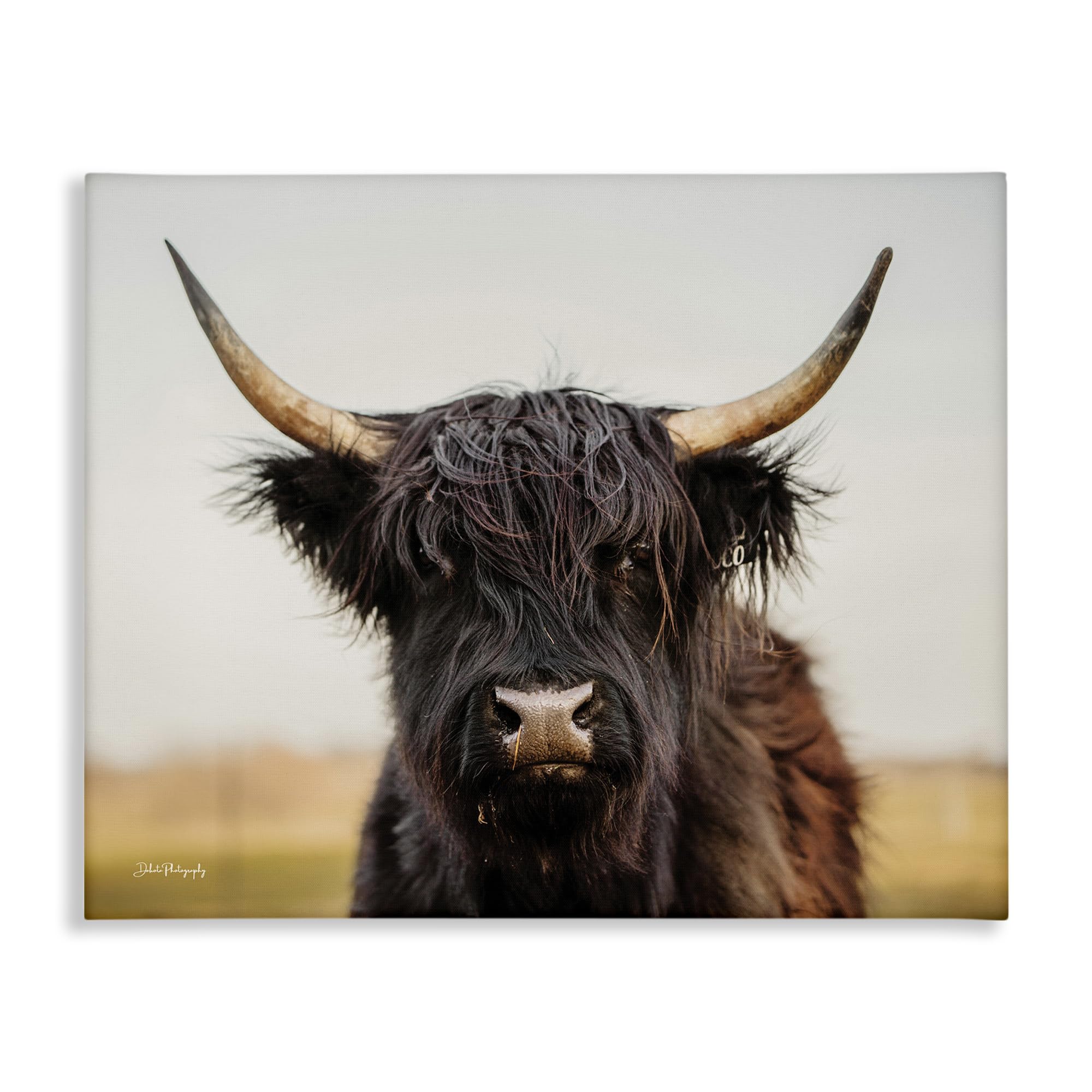 Stupell Industries Black Highland Cow Portrait Canvas Wall Art by Dakota Diener