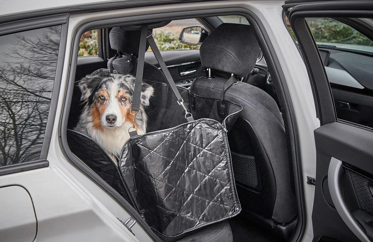 WOLTERS Clean Car Rücksitz Schondecke