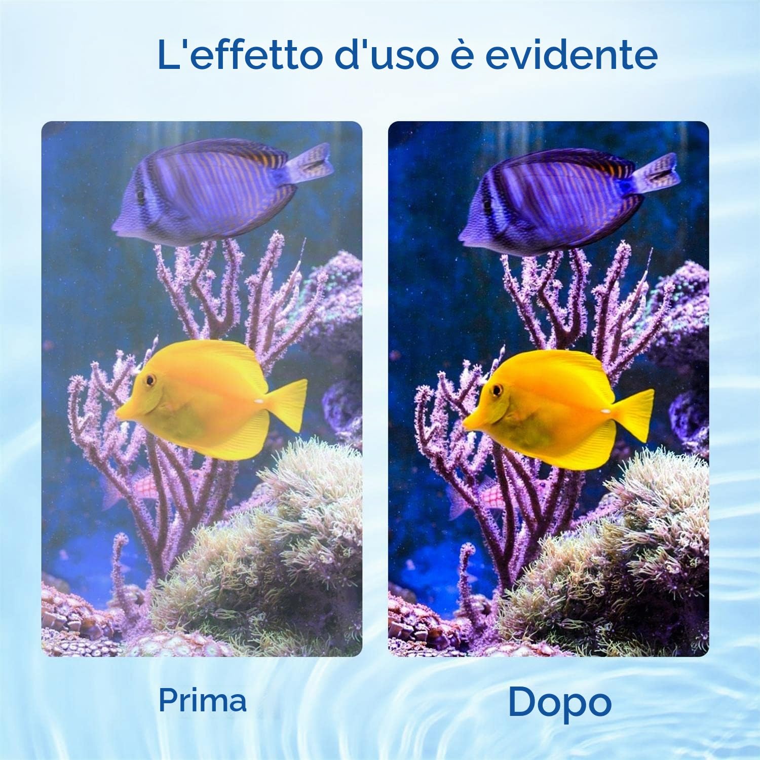 Nobleza Anelli Filtranti in Ceramica Filtro Biologico per Acquari 1000g