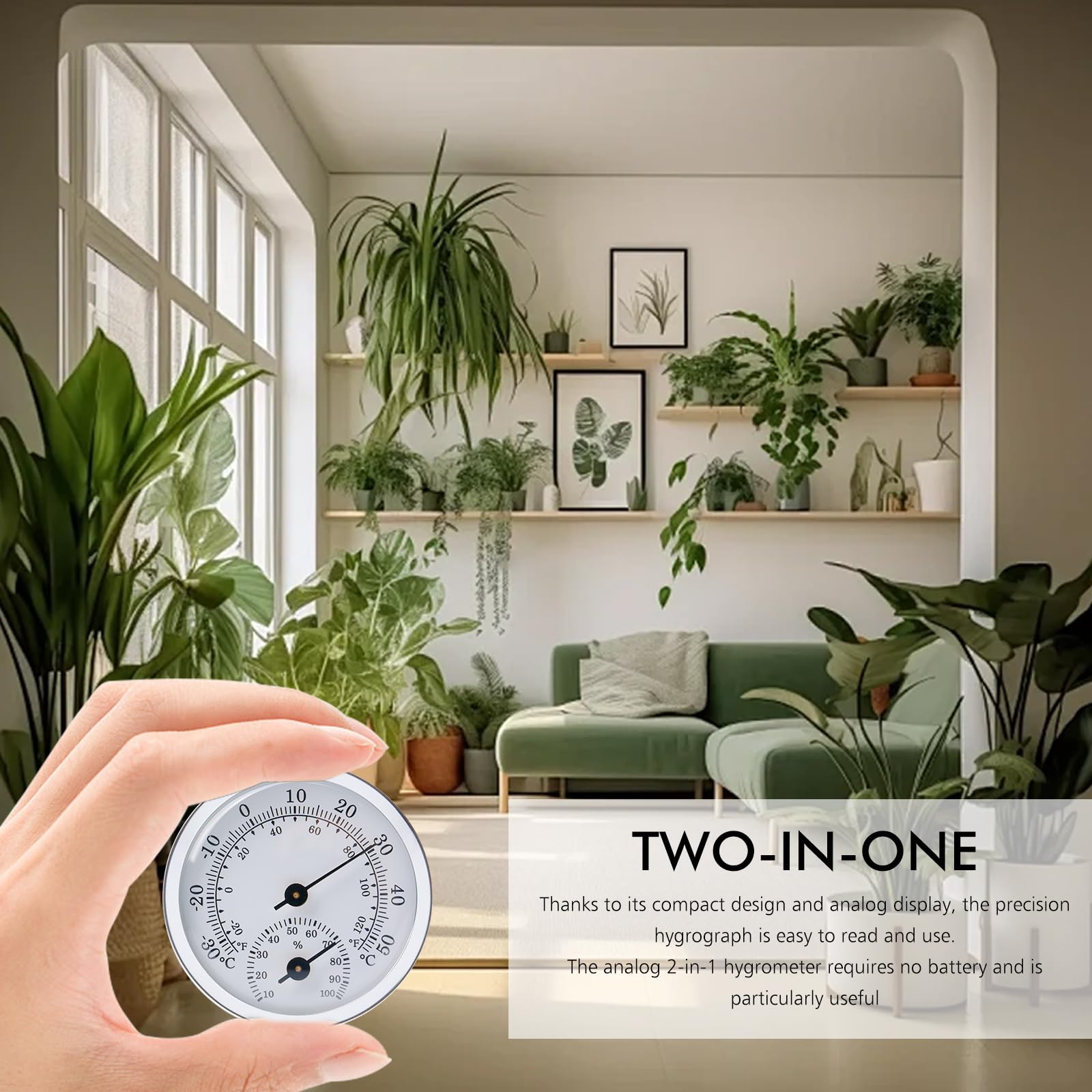 Hygrometer Analoog: WEGREAT 2 stuks Precisie Thermo