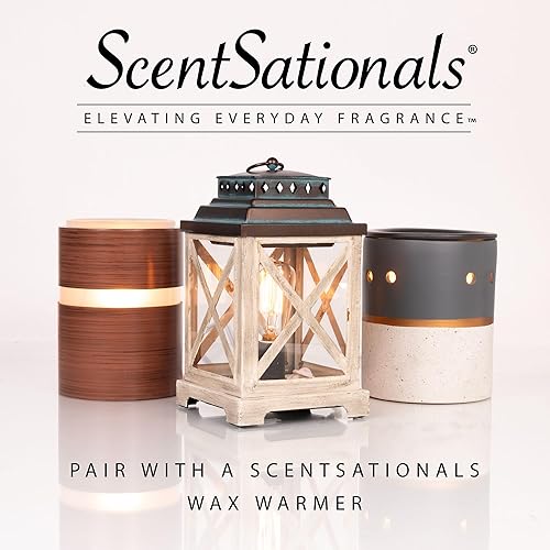 Miniatura 7 de Scentsationals Cera derretida, cubos de cera fuerte aroma, Zen – Fundición perfumada de larga duración para calentar, 10 onzas (24 cubos)