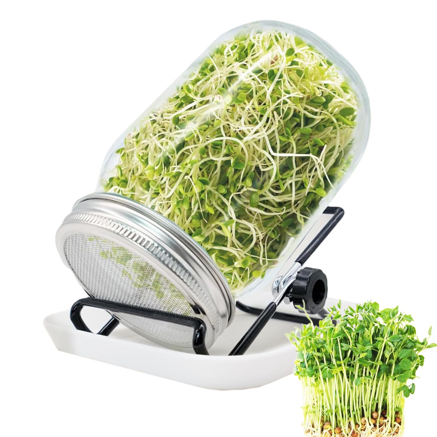 Lot de bocaux à germer 1000 ml pour germination en verre à germination avec 1 bol à eau, 1 couvercle en acier inoxydable 304 et 1 support, pour alfalfa, brocoli, haricots mungo