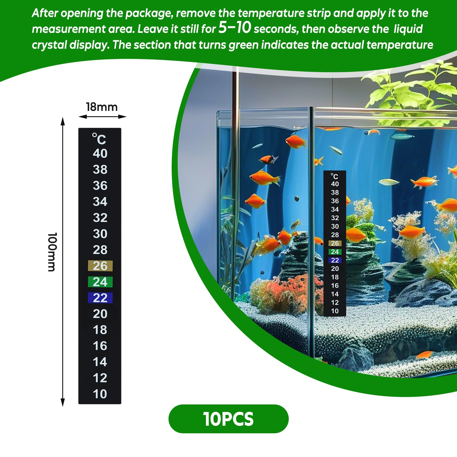 View 4