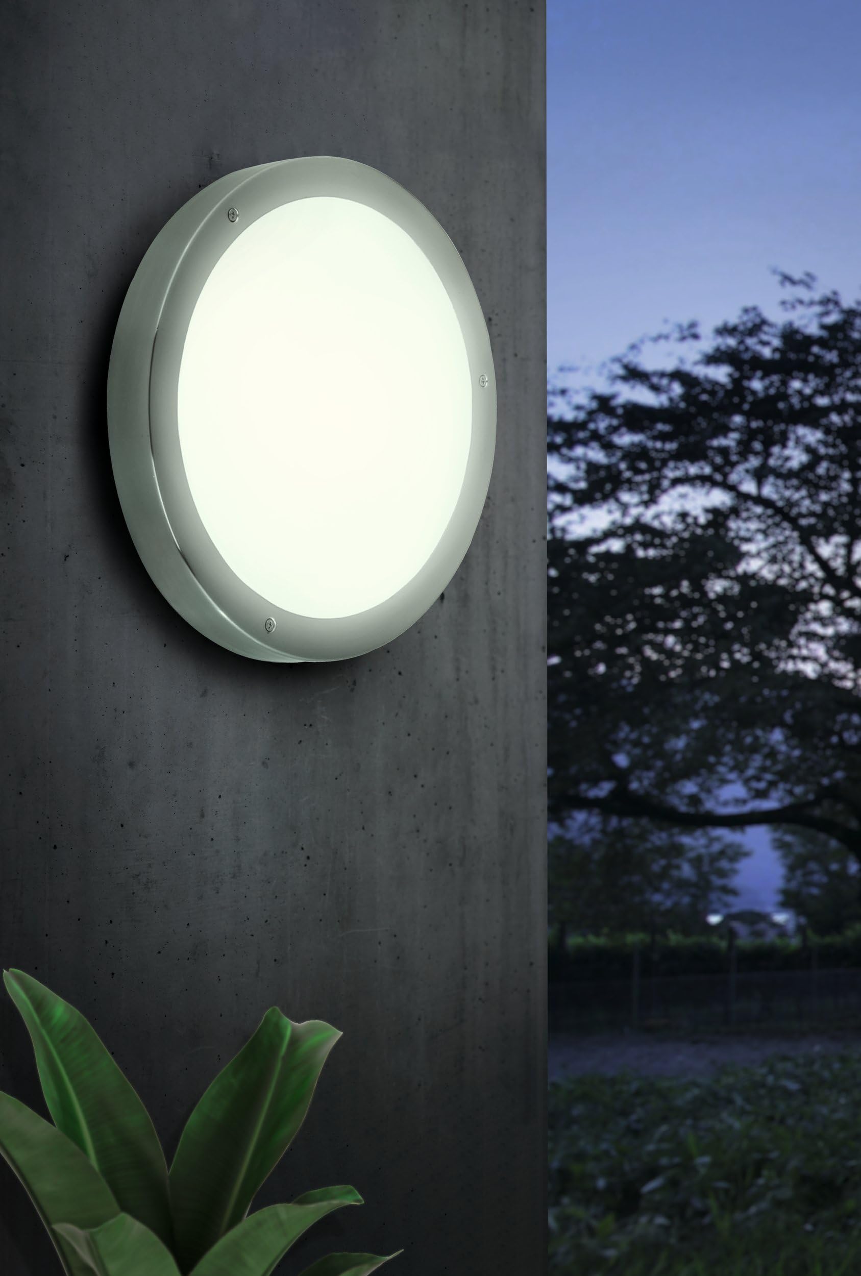 EGLO LED Außen-Deckenlampe Vento 1 | Außenleuchte für Wand und Decke, Deckenleuchte aus Edelstahl und Glas, Silber, weiß, IP44
