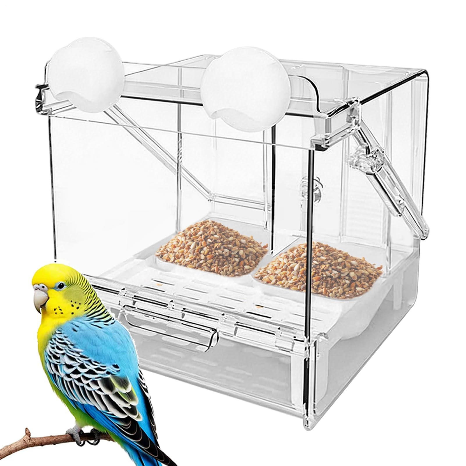 Bain pour Cage à Oiseaux Mangeoire Transparent