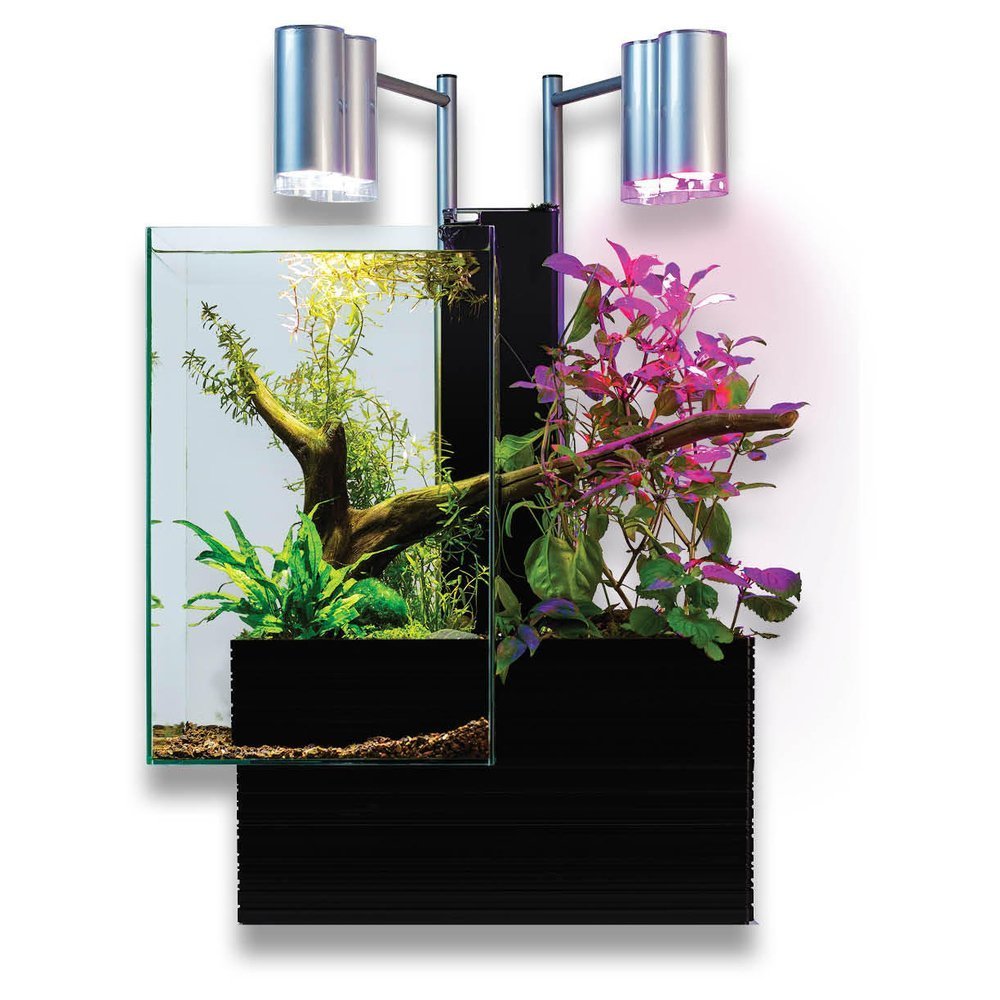 Brio Brio35 Aquaponics Sytem, Black