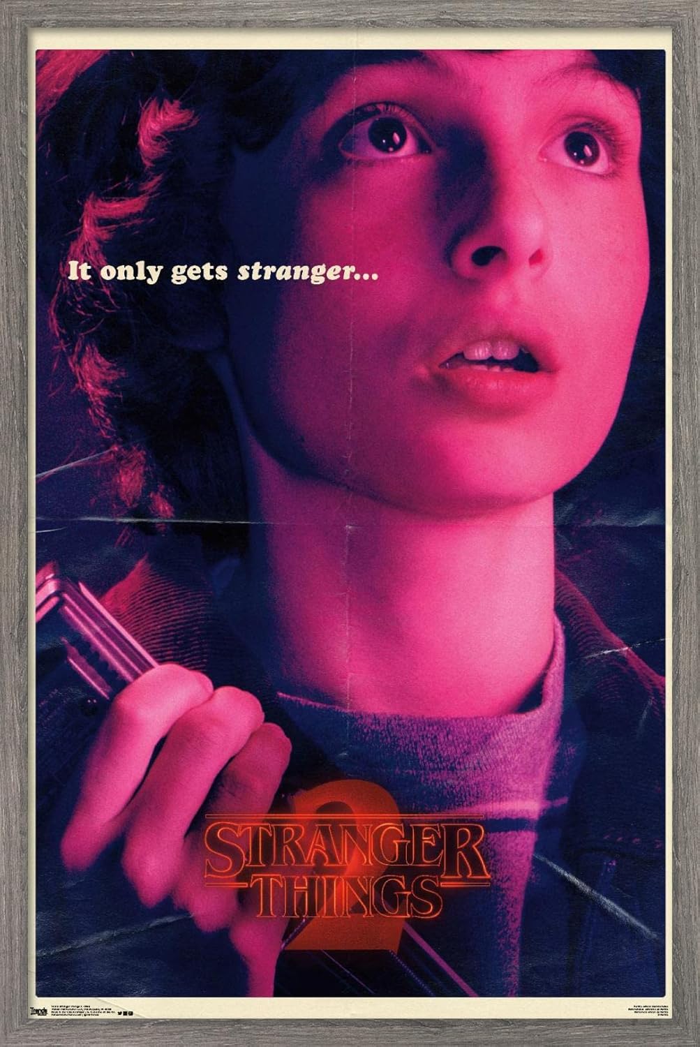 Netflix Stranger Things: Season 2 - Mike Wall Poster, 22.4L x 14.7W, Premium Poster & Mount Bundle