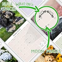 Vista 1109 de Razas de Perros 2017