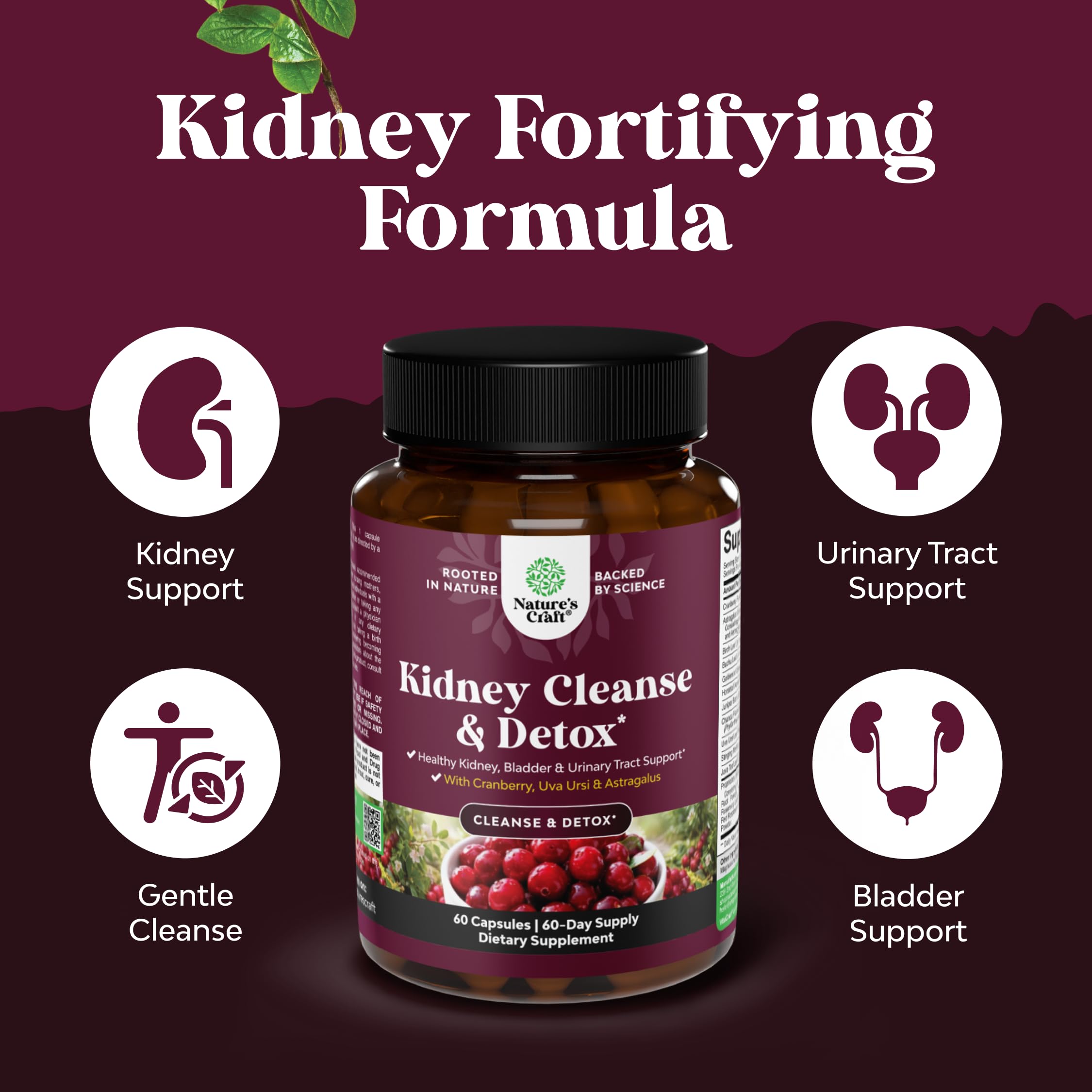Advanced Kidney Cleanse Support - Cranberry Extract Capsules - 60 Count — Amazon image 3