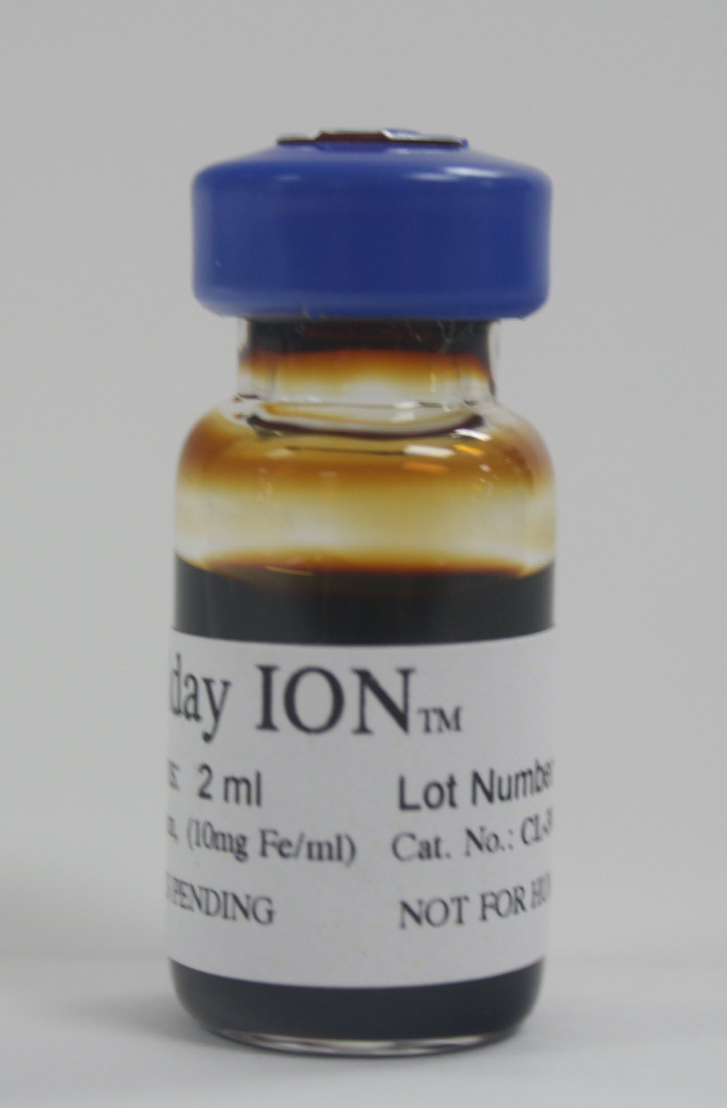 Molday ION - MRI contrast agent for vascular imaging
