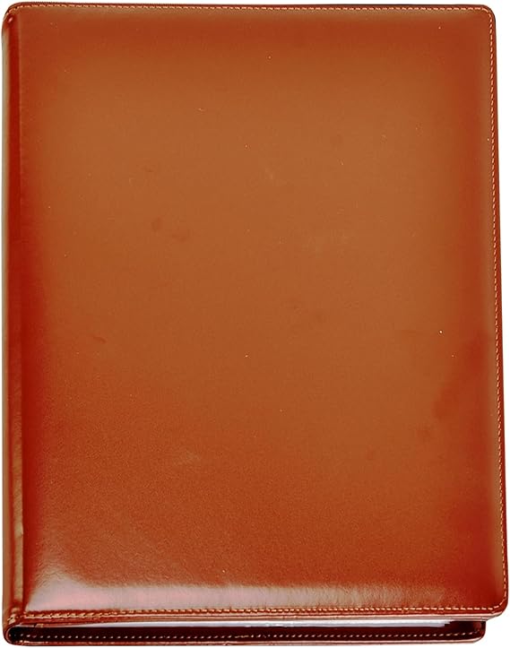 Aazon Basics Cartella Portadocuenti Espandibile, Forato A4 (confezione Da 2), Nero/Grigio - Foto 10