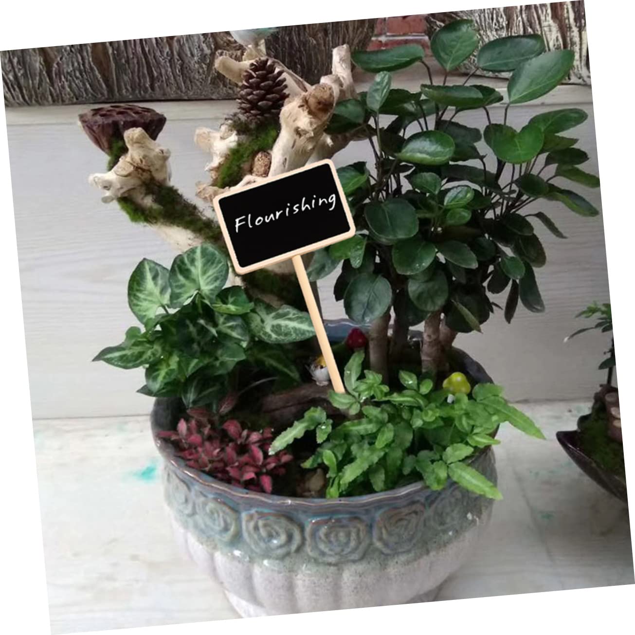 TOYANDONA 3 Ensembles Étiquettes Pour Plantes Lot De Étiquettes Identification Pour Jardin Plantes Pot Fleurs Arbres Fruitiers Résistantes Durables 20 Pièces * 3