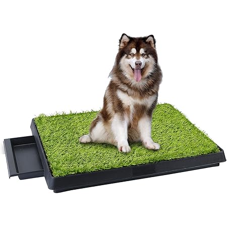 potty pad grass