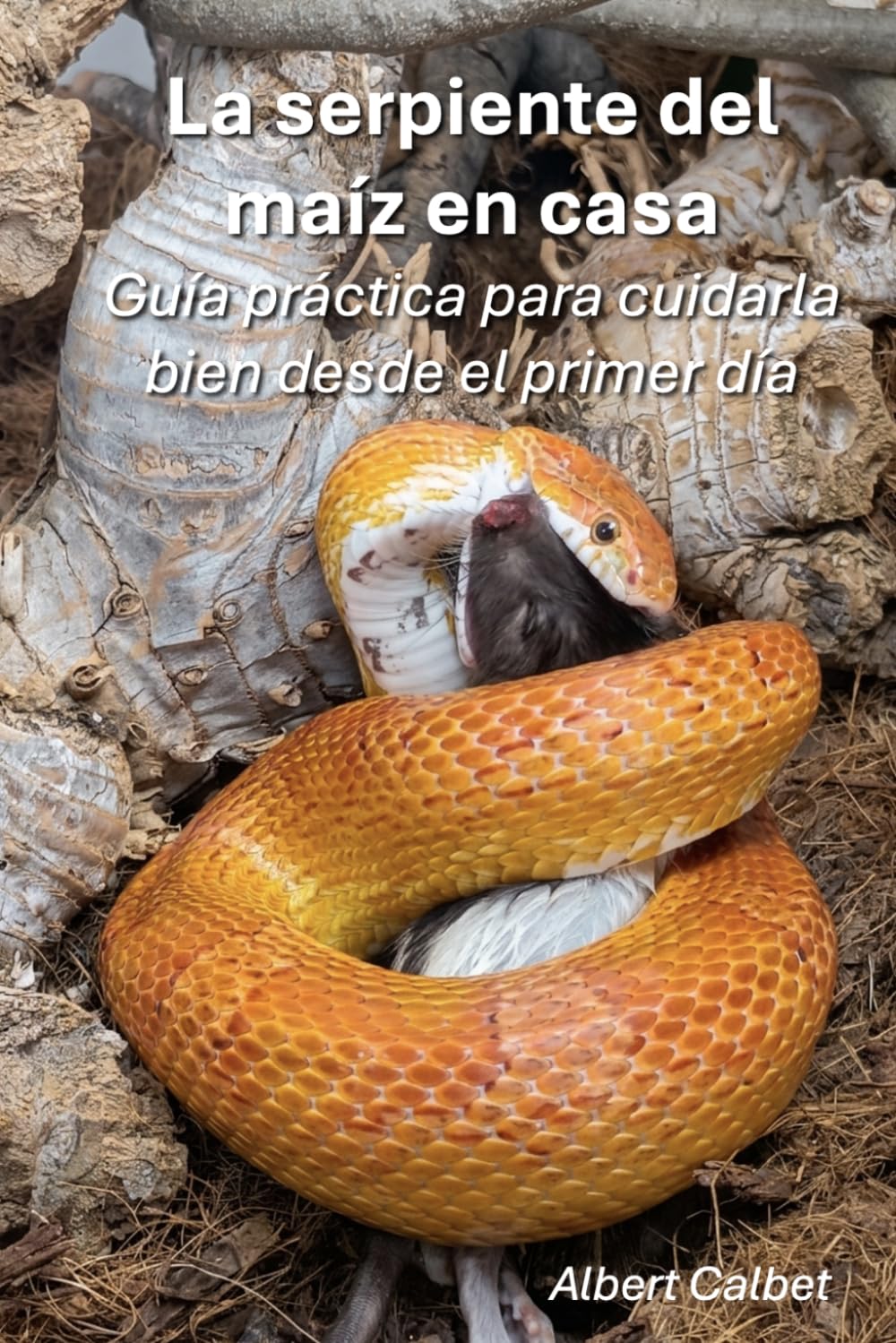 La serpiente del maíz en casa: Guía práctica para cuidarla bien desde el primer día
