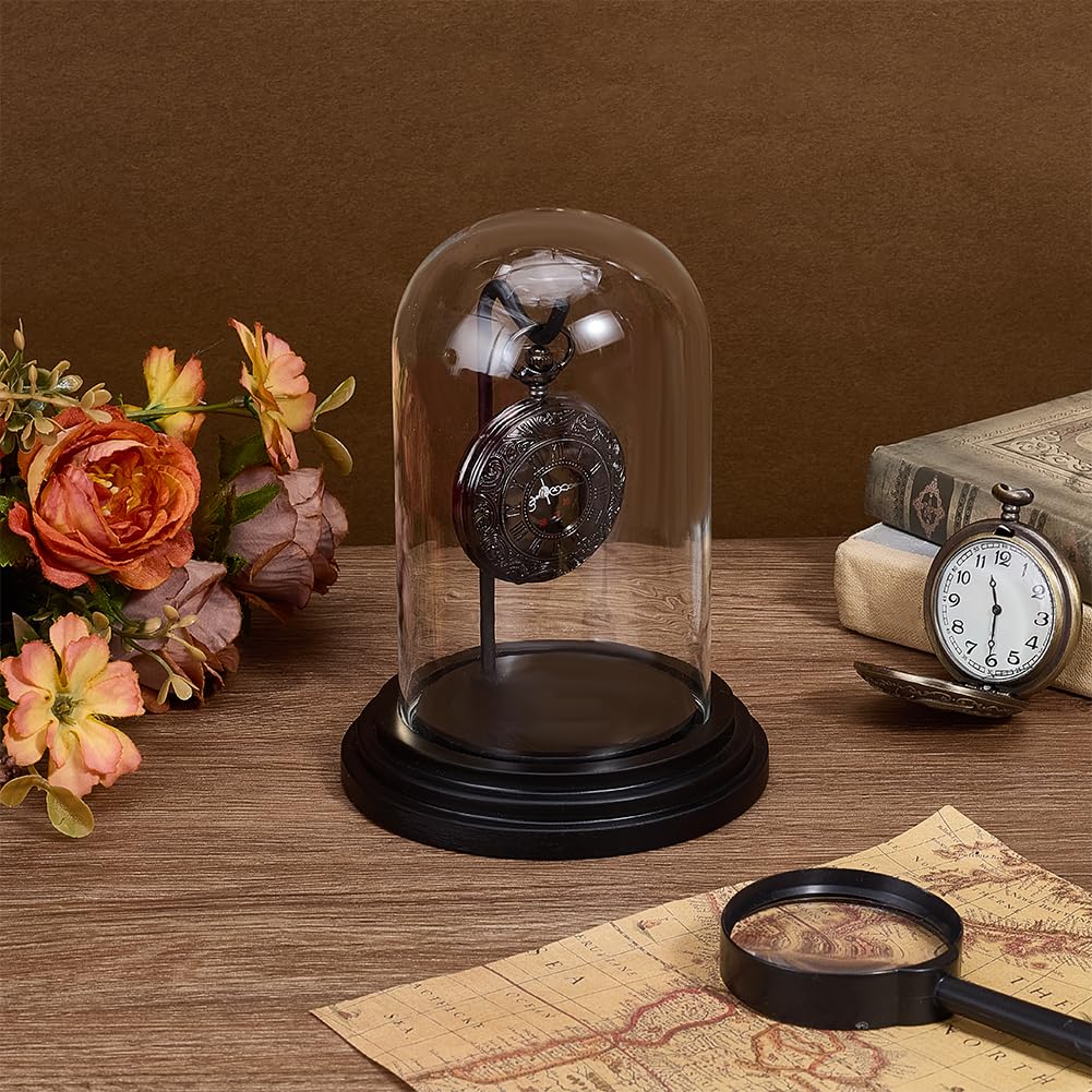 PH PandaHall Cristal de cúpula para reloj vintage, campana de cristal para reloj, 10,3 x 14 cm, expositor para relojes de bolsillo con gancho para medallas coleccionables Día del Padre