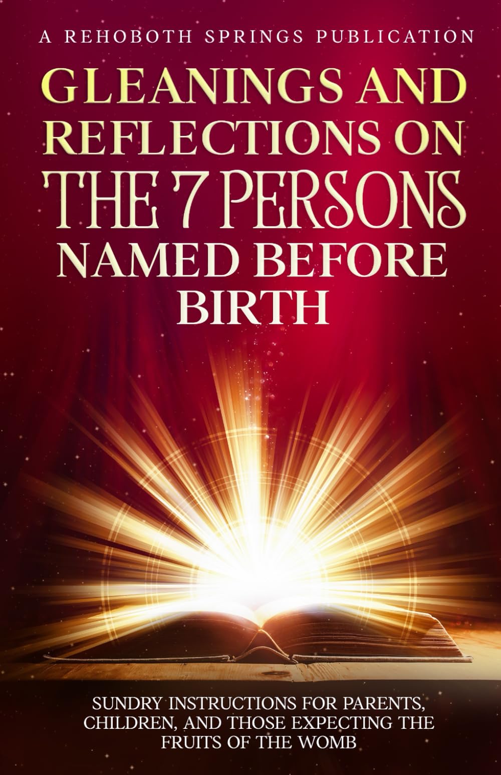 Gleanings and Reflections on the 7 Persons Named Before Birth: Sacred Lessons for Parents, Children, and Those Expecting the Fruits of the Womb (Foundations for Thoughtful Believers)