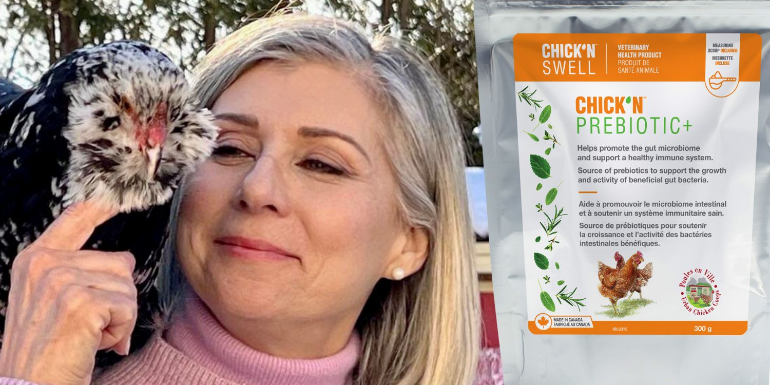 Amazon.com: ChicK'N Swell Poultry Prebiotics from Chick'n