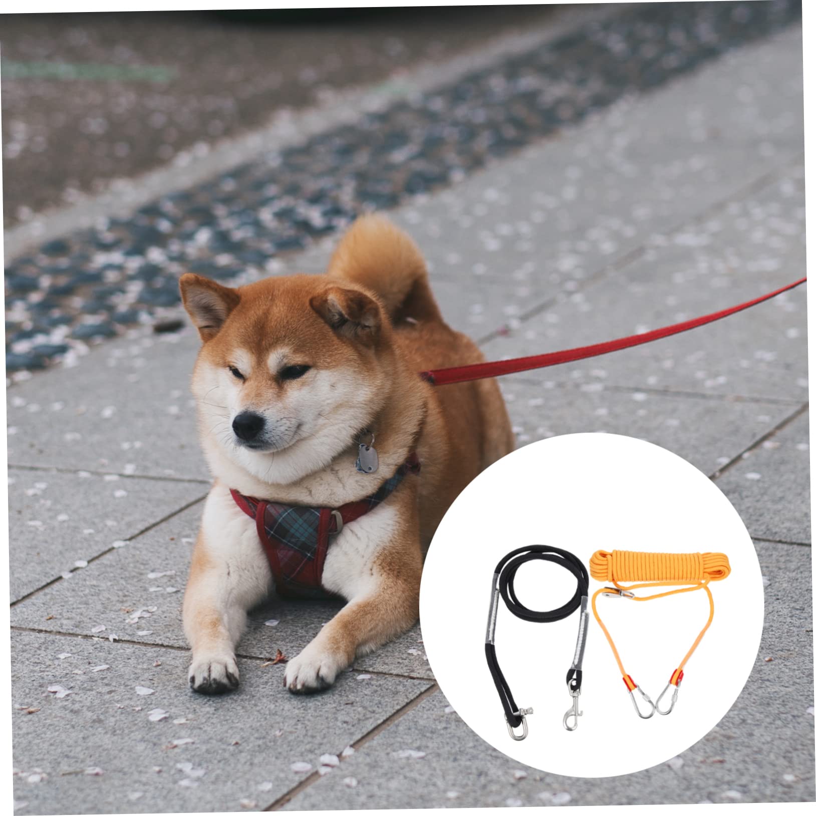 TOYANDONA Cable para Perros De Camping De Equipo para Acampar Perros Cable De Sujeción para Mascotas Al Aire para Correas De y Actividades De Campo