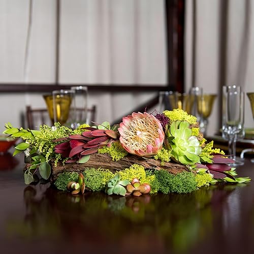 Miniatura 5 de SuperMoss 25155 Musgo de renos preservado B01C5RTUIS, 3 libras, albahaca