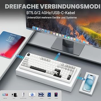 AULA F99 Wireless Gaming Keyboard 3 Modes 2.4 GHz/Type-C/BT5.0 Mechanical Keyboard with Five-Layer Padding Structure RGB 8000 mAh QWERTY Hot-swap Custom Keyboard Mechanical (White/Grey)