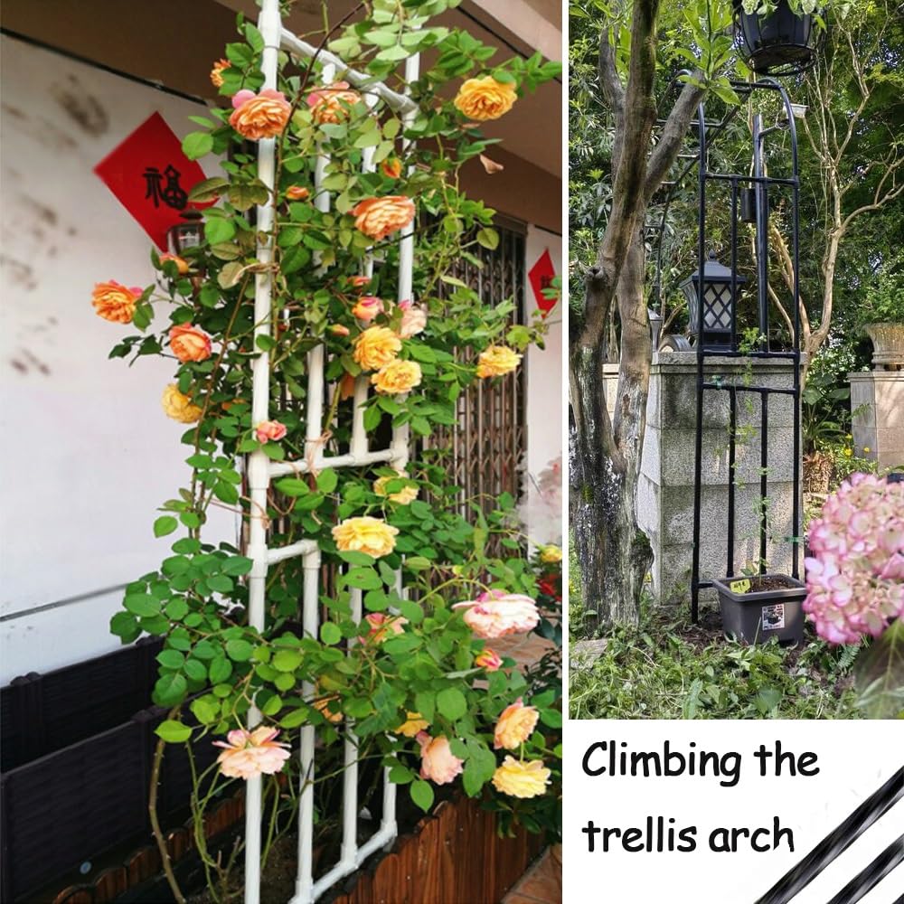 Arbor ad arco da giardino in metallo antiruggine per piante rampicanti, larghezza regolabile da 1,2 a 3,2 m, traliccio alto 2,4 m, perfetto per matrimoni e feste all'aperto, finitura nera (240 x 240