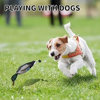 Dog Training Duck Dummy,Dog Or Field Puppy Training Dummies