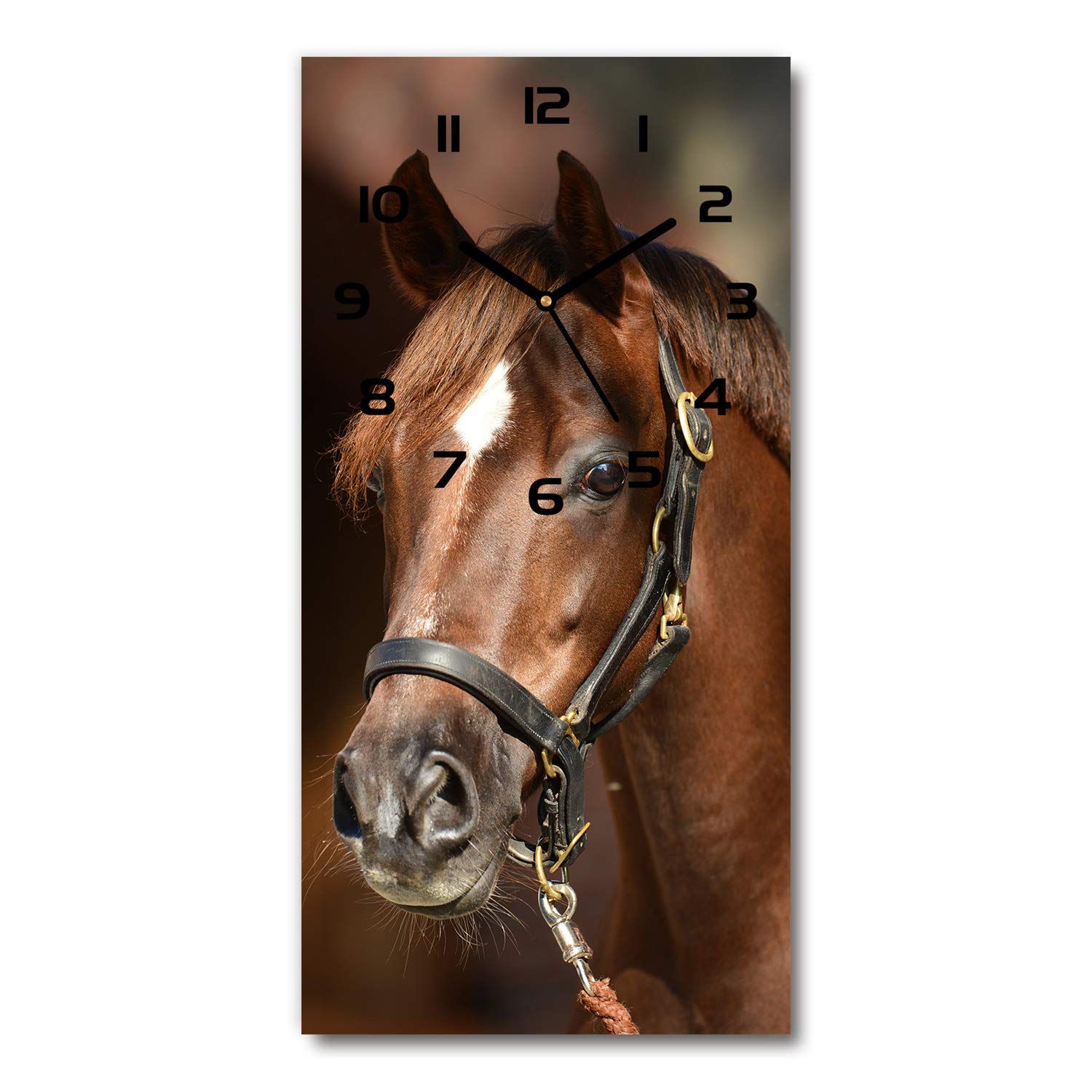 Horloge murale salon design avec motif cheval Tulup 30x60