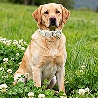 Vista 192 de DOGWONG Collar de perro Airtag de algodón y cáñamo, collar resistente para perros con soporte para Airtag, collares verdes para perros pequeños
