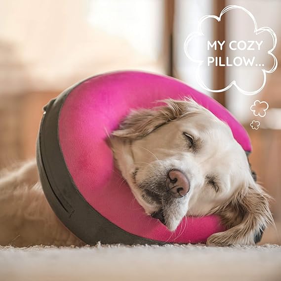 inflatable donut collar