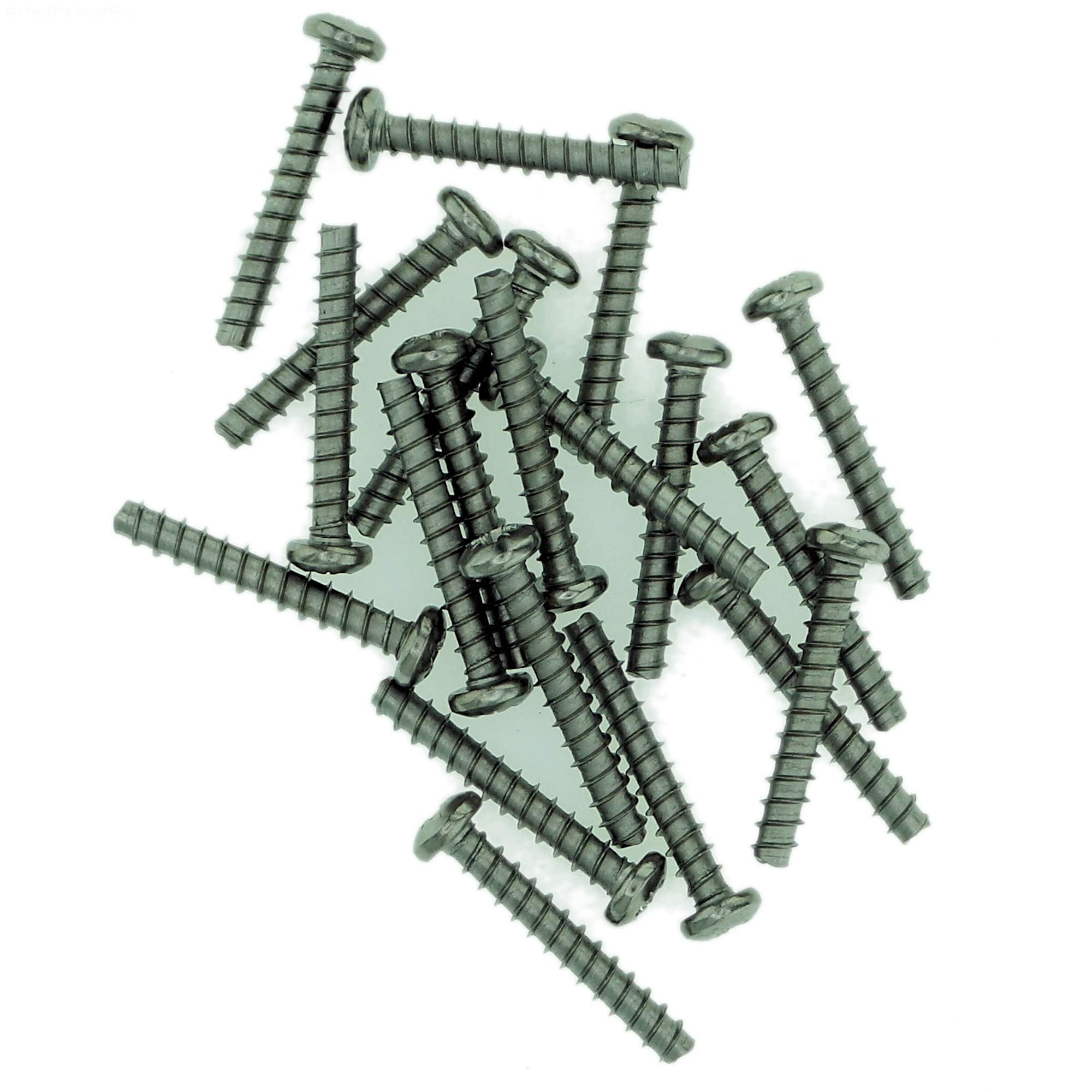 Singularity Supplies D4 (4Mm X 25Mm) Pozi Pan Screws For Plastic (Trilobular) - Stainless Steel (A2) (Pack Of 20)