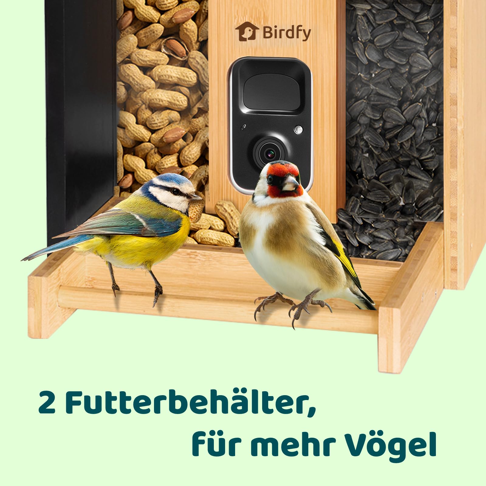 NETVUE by Birdfy Comedero Pajaros Exterior, Comederos para Pajaros con Camara, Bambú Ecológico/Renovable, Observación de Aves en Tiempo Real para App, Captura Automática, Notificación Instantánea