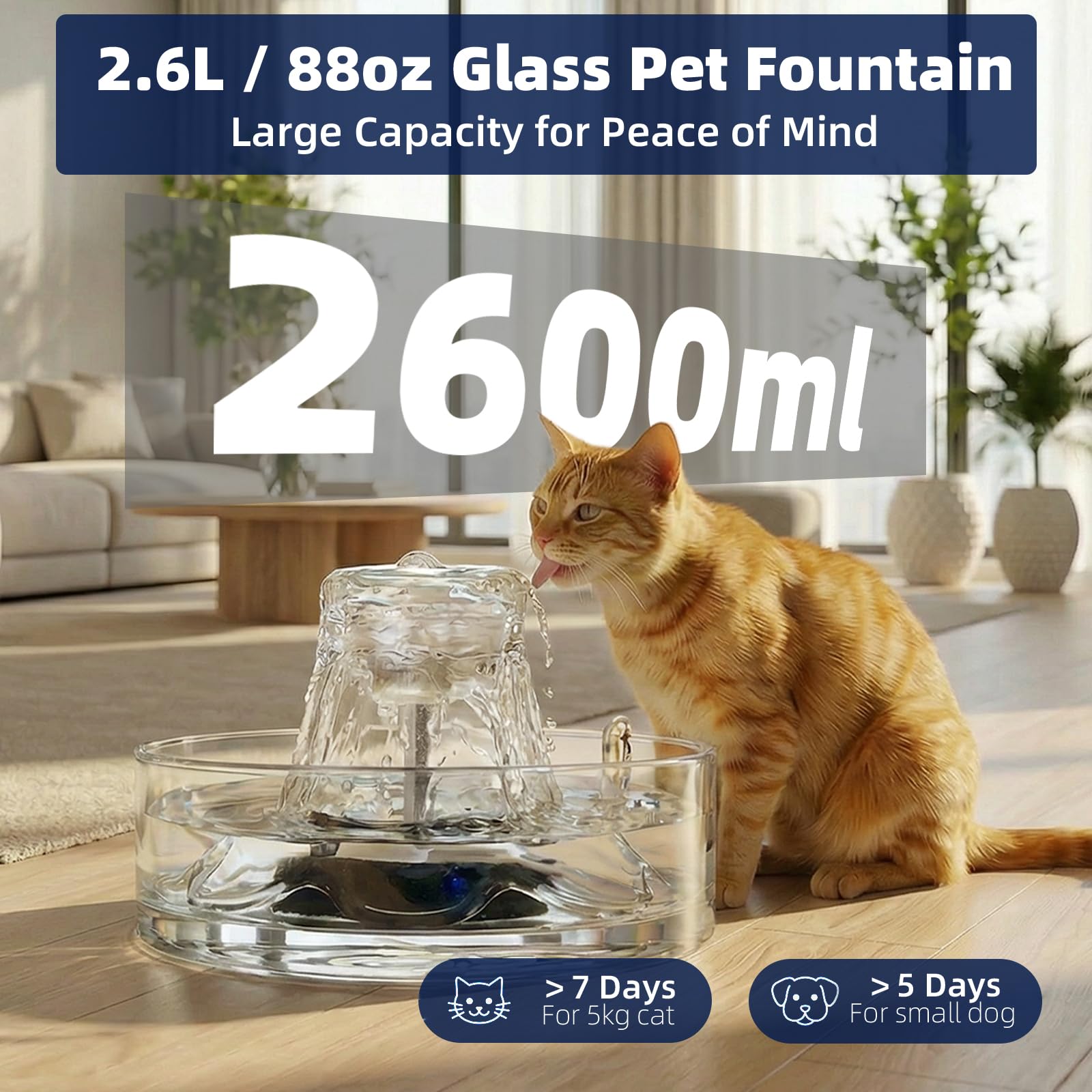 Fuente de vidrio para mascotas, fuente de agua para gatos de 2,6 L