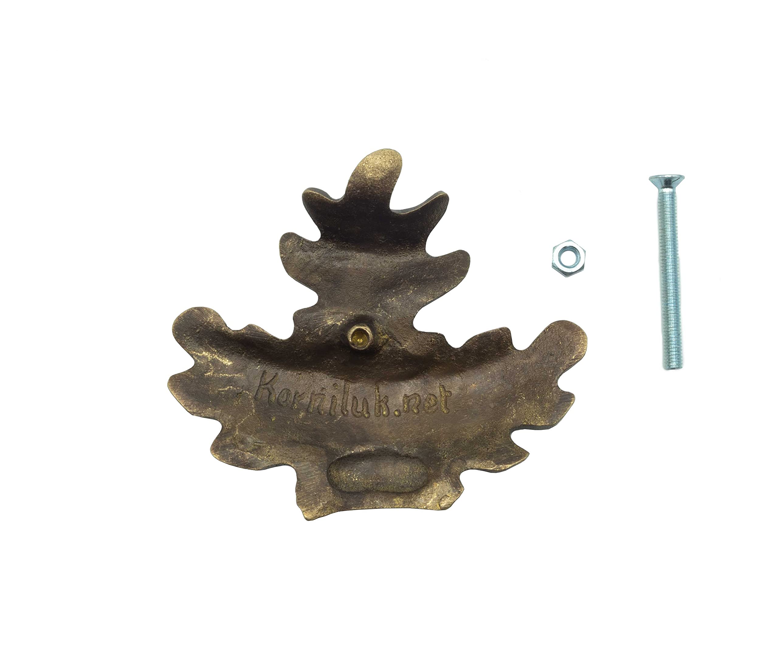 Januel - Decorazione con foglie di quercia per trofeo di cinghiale, fissaggio denti e gres di cinghiale su stemma trofeo, modello grande, fissaggio a vite, viti incluse
