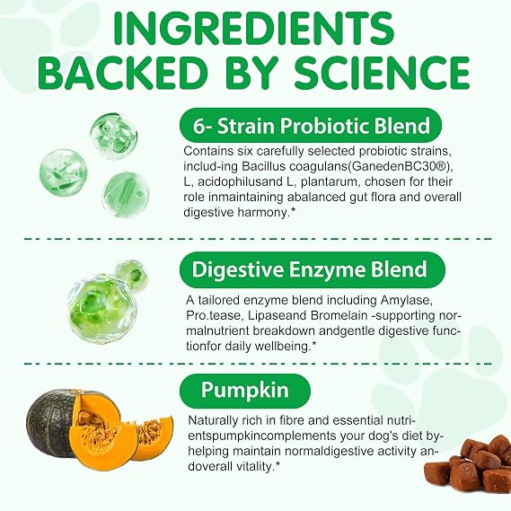 Probiotic Chews for Dogs – Daily Digestive Balance with Prebiotics & Natural Ingredients – Supports Gut Flora, Skin & Everyday Vitality – Duck Flavour (30 Soft Chews)