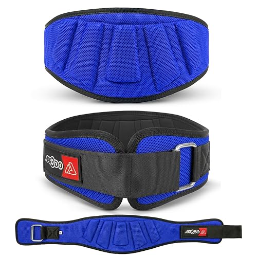 APRODO Power Guidance Nylon Weightlifting Belt Lumbar Waist Support Trainer Protector Belts for Weight Lifting Fitness Sport Gym (Blue, Small)