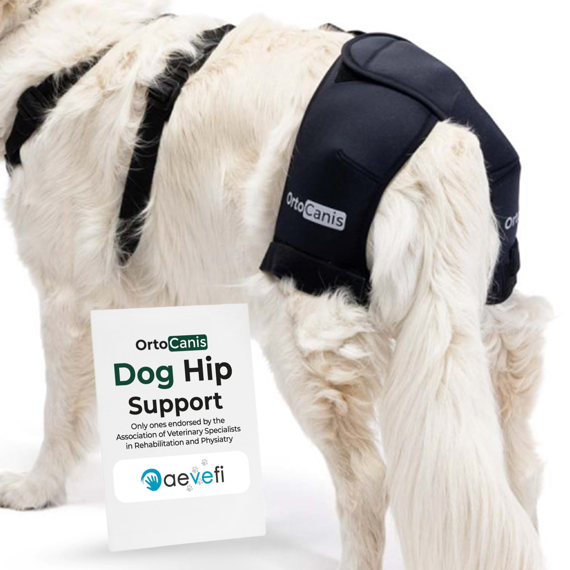 Ortocanis - Tutore di Supporto dell'Anca per Cani con Displasia o Artrosi e Difficoltà di Camminare, Taglia L