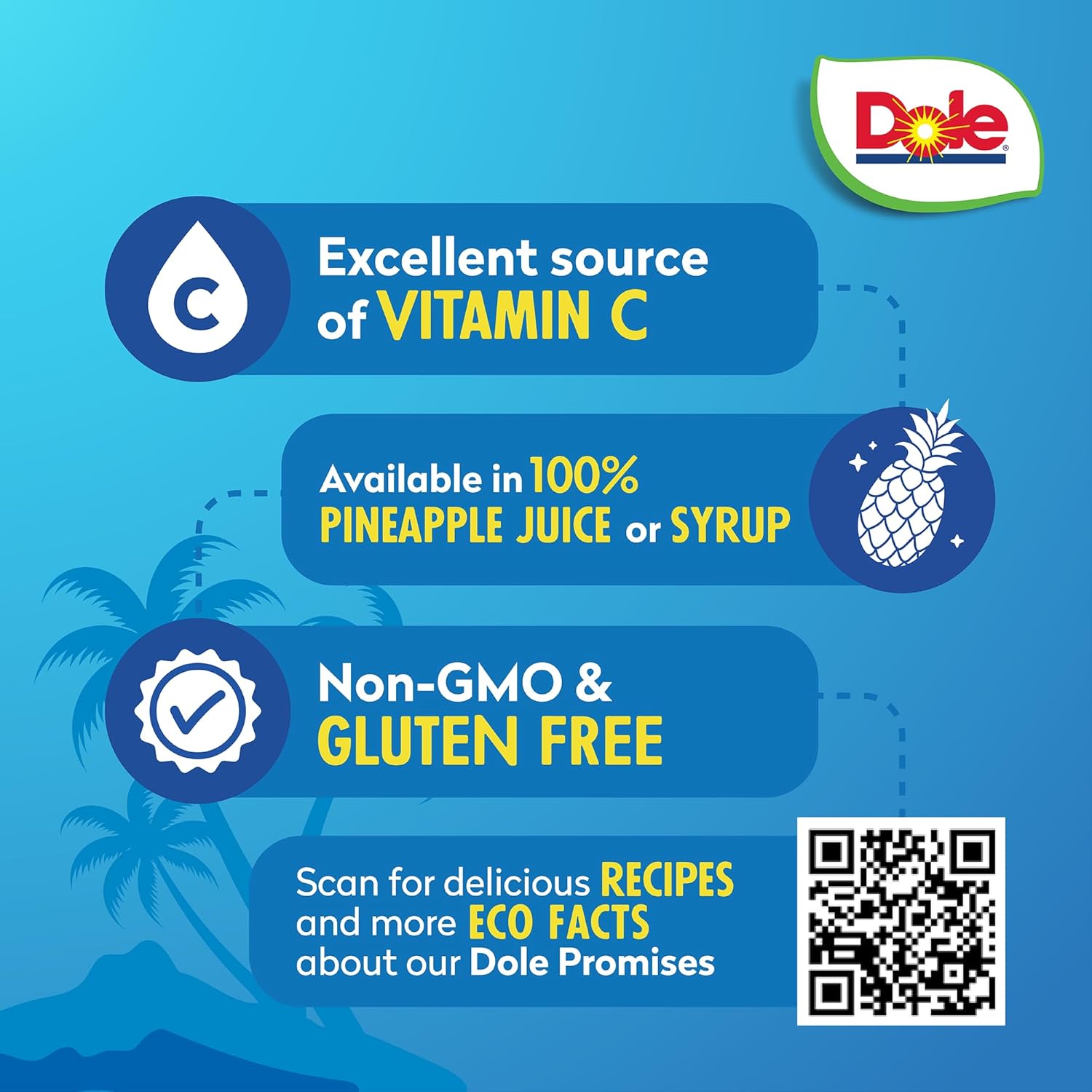 Dole Pineapple Chunks in Heavy Syrup - Dole Canned Fruit - Rich Source of Vitamin C - 20 oz Can - 12 Pack