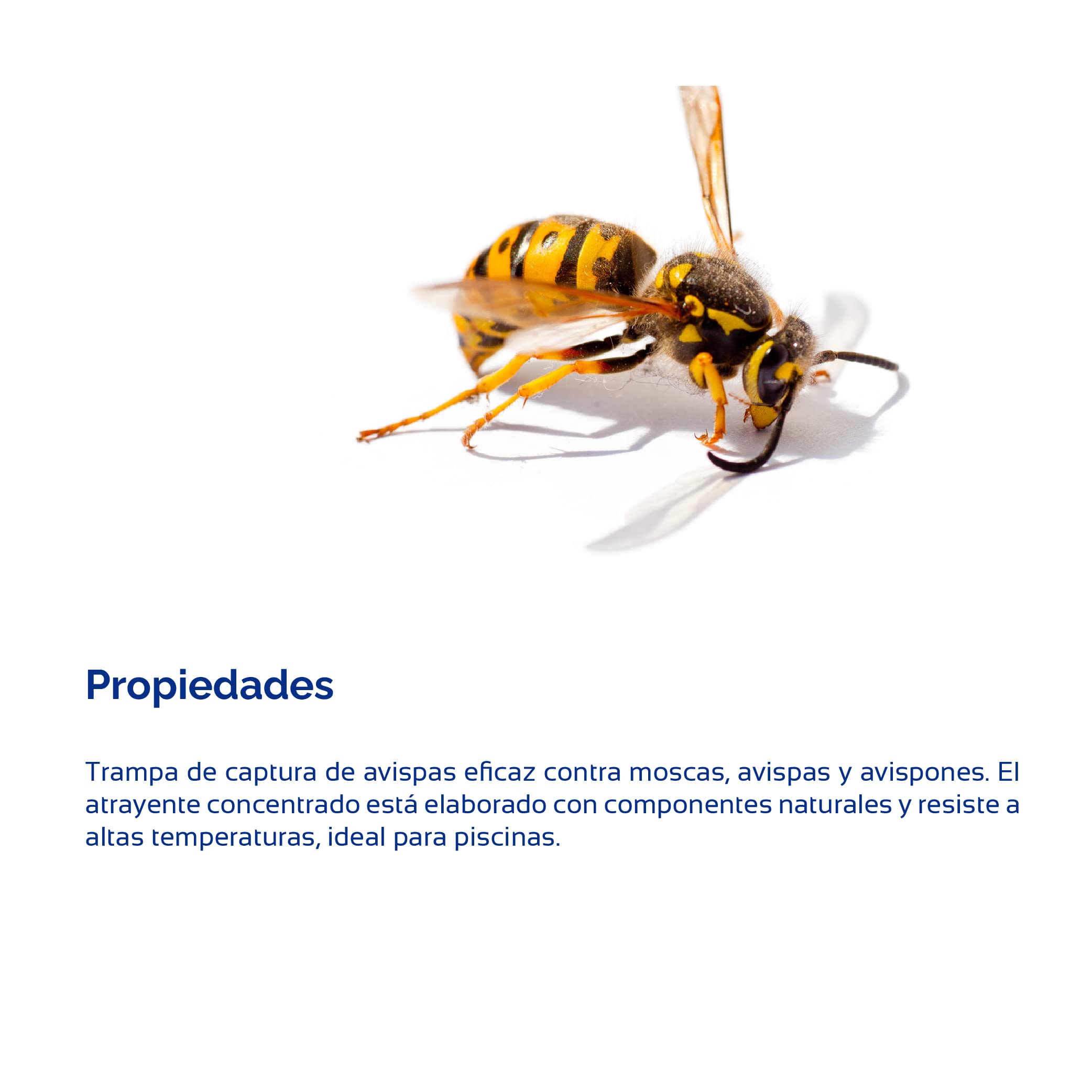 Bioplagen Wasptrap Trampa Avispas + Biowasp Atrayente concentrado listo para usar 500 ml